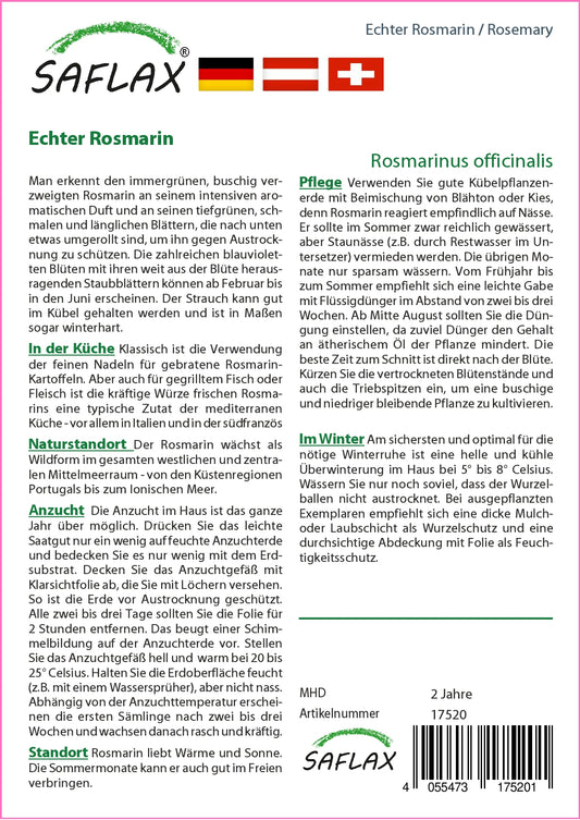  Echter Rosmarin