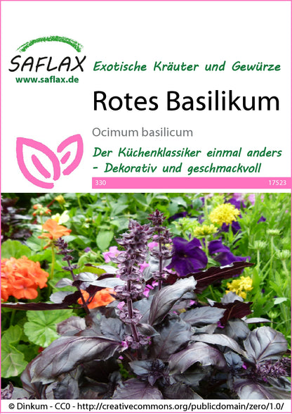  Rotes Basilikum