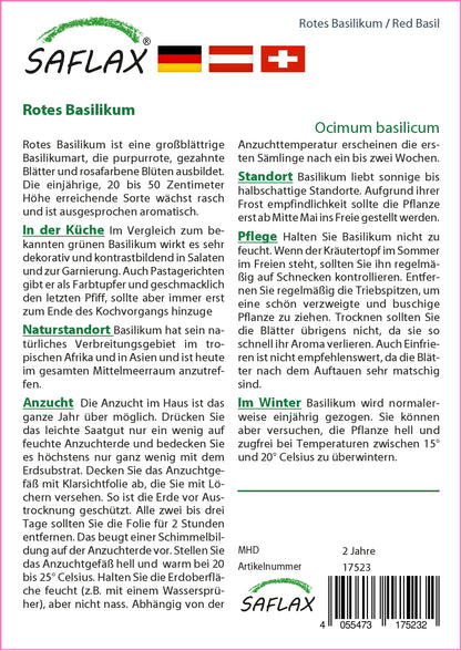  Rotes Basilikum