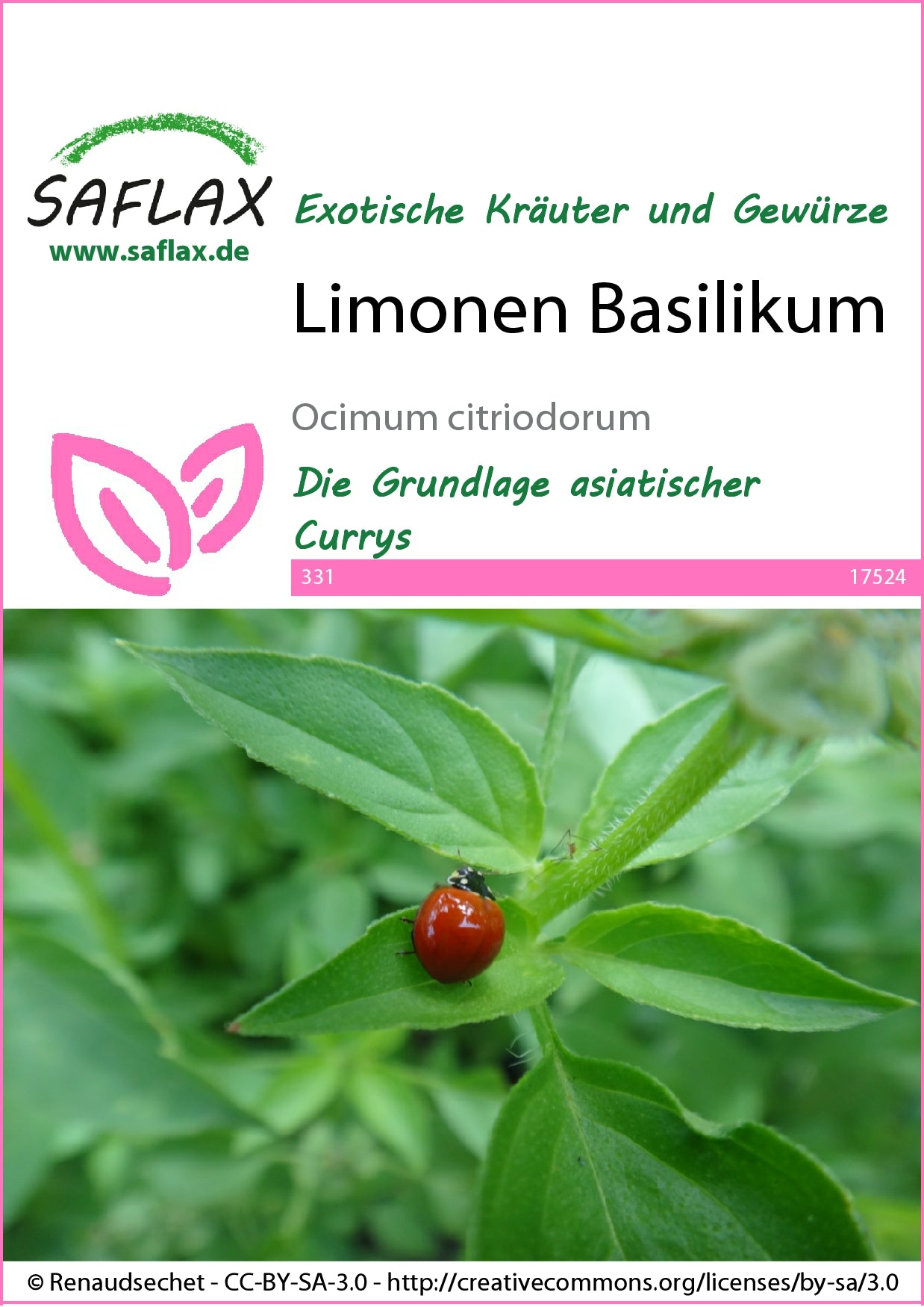  Limonen Basilikum