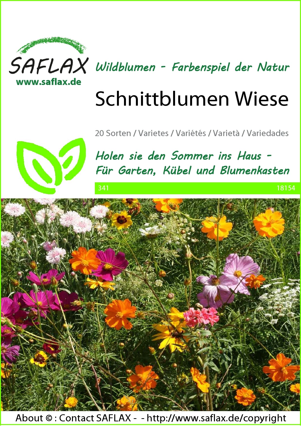  Schnittblumen Wiese