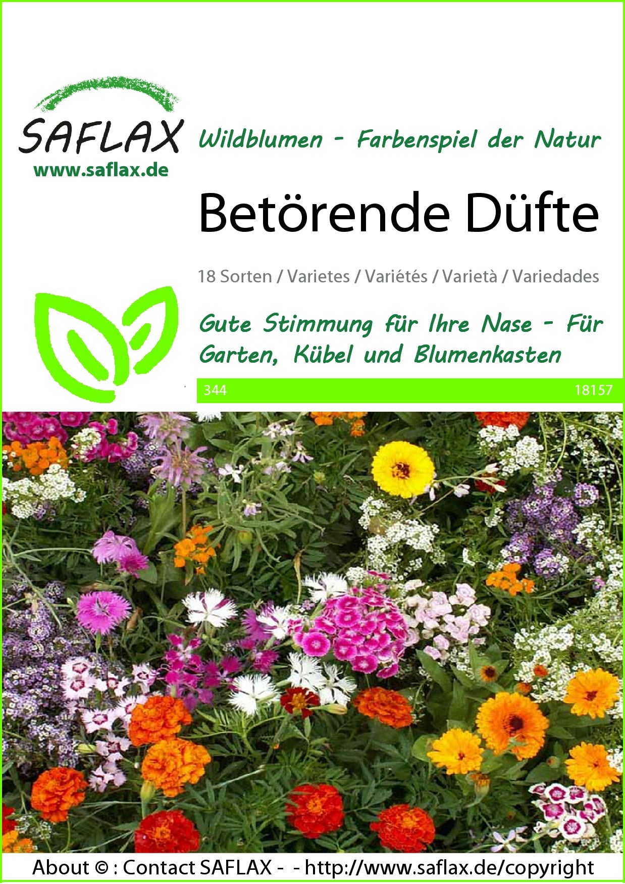  Blumenwiese Betörende Düfte