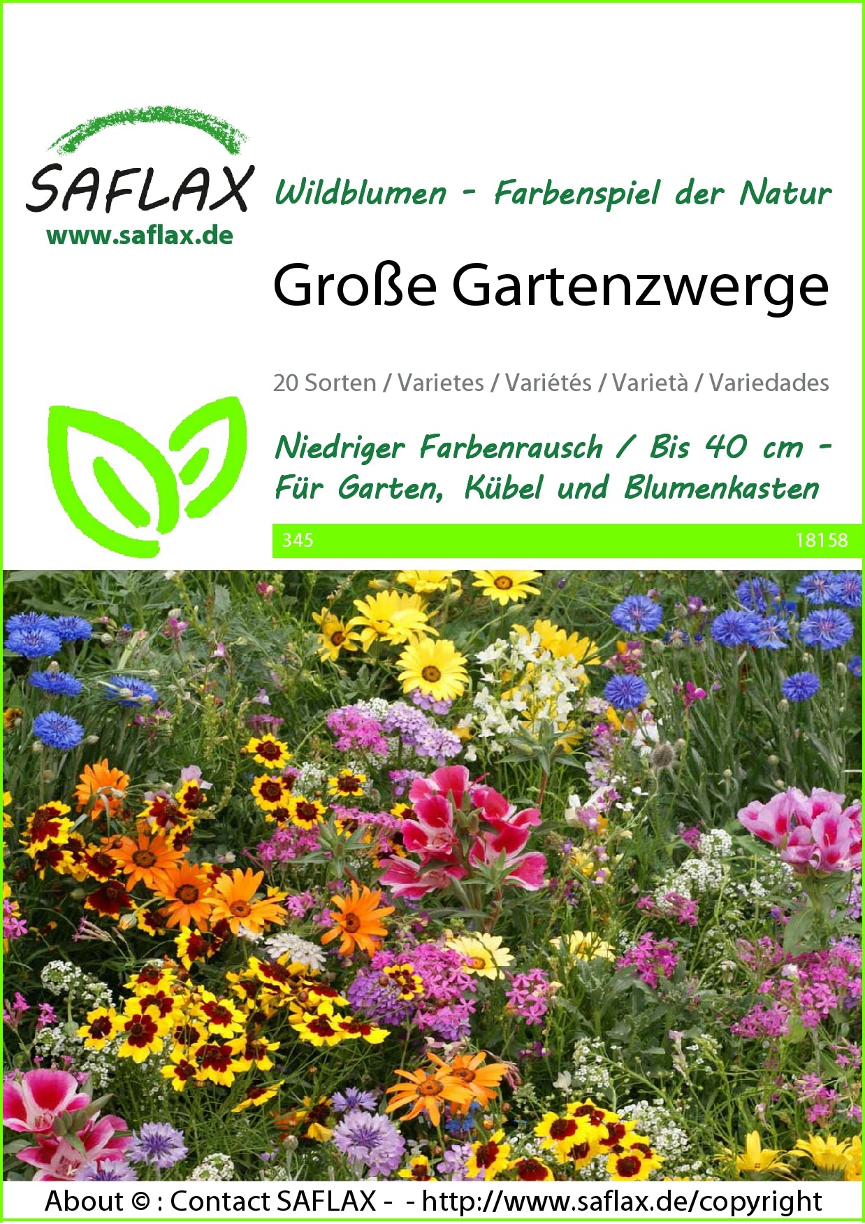  Blumenwiese Große Gartenzwerge