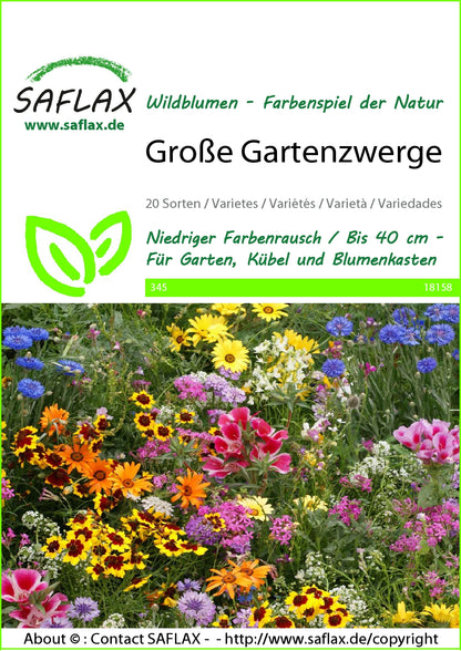  Blumenwiese Große Gartenzwerge