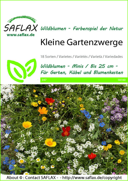  Blumenwiese Kleine Gartenzwerge