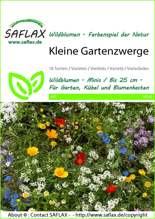  Blumenwiese Kleine Gartenzwerge