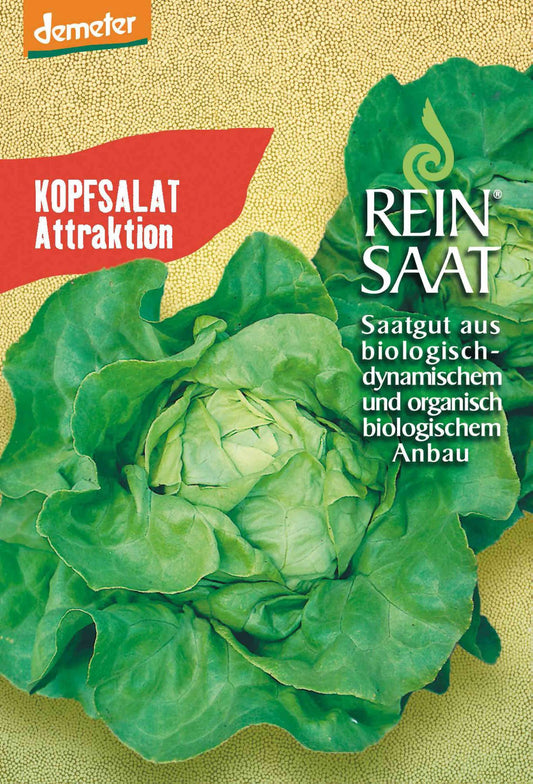  BIO Kopfsalat Attraktion [MHD 12/2024]