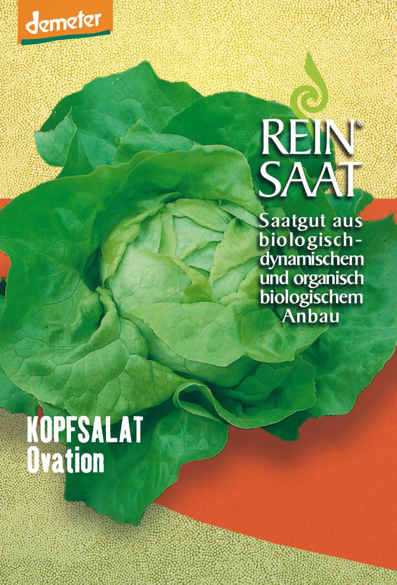  BIO Kopfsalat Ovation [MHD 12/2024]