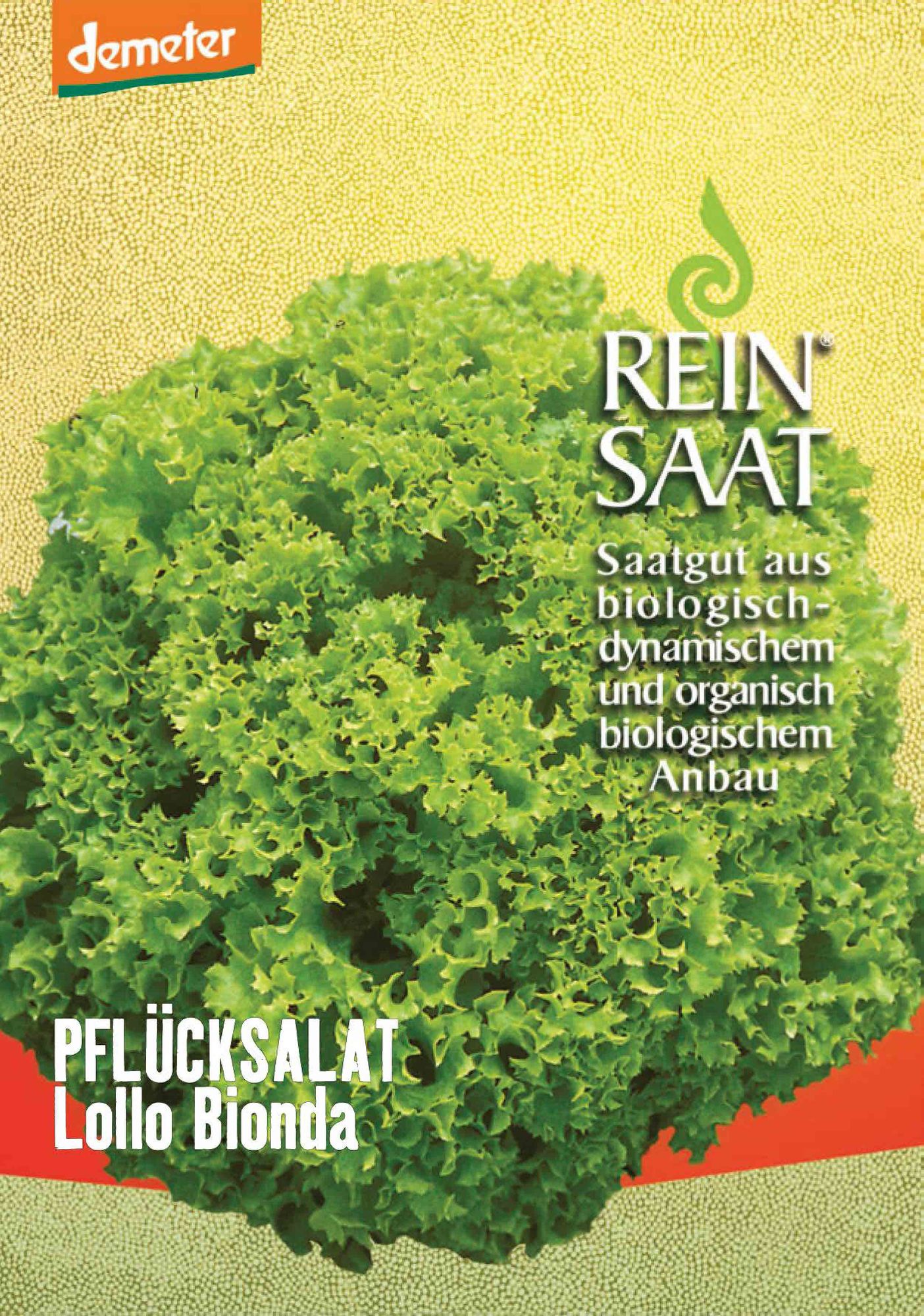 BIO Pflücksalat Lollo Bionda [MHD 12/2025]