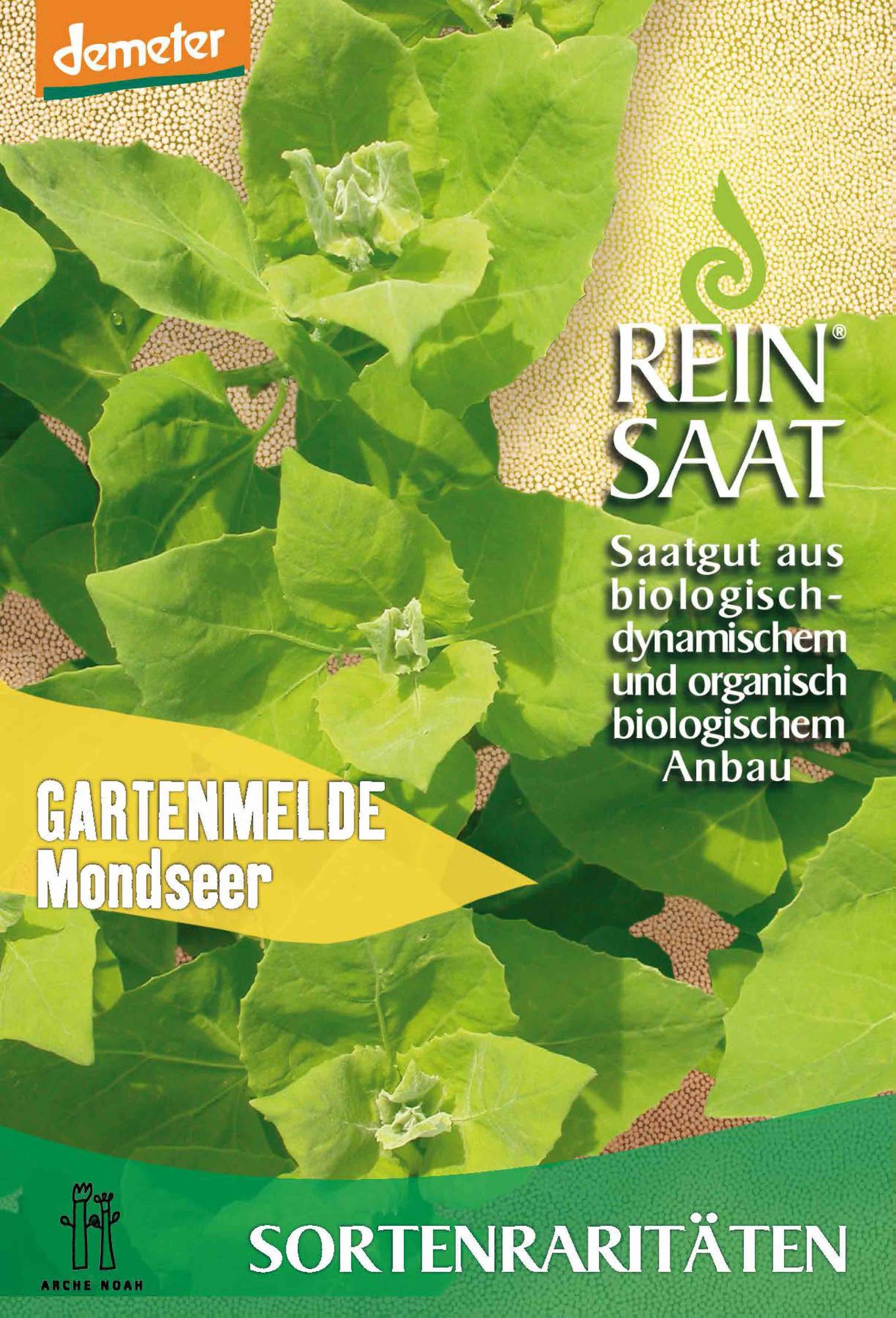  BIO Gartenmelde Mondseer [MHD 12/2025]
