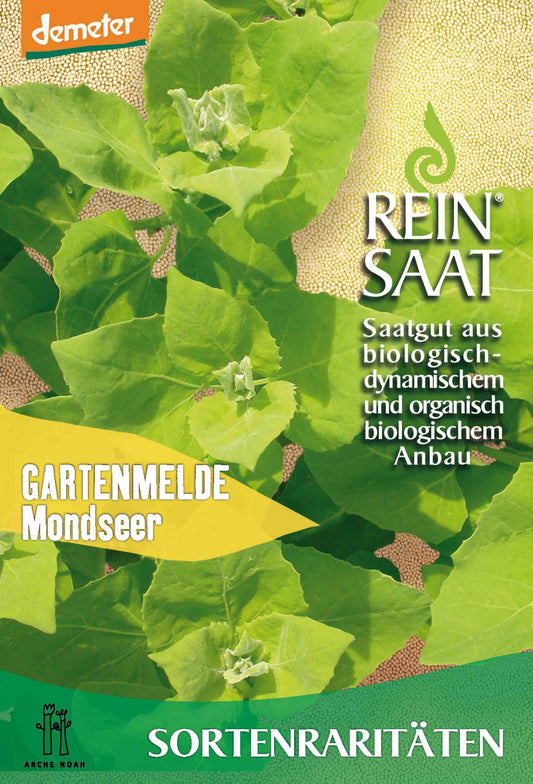  BIO Gartenmelde Mondseer [MHD 12/2025]