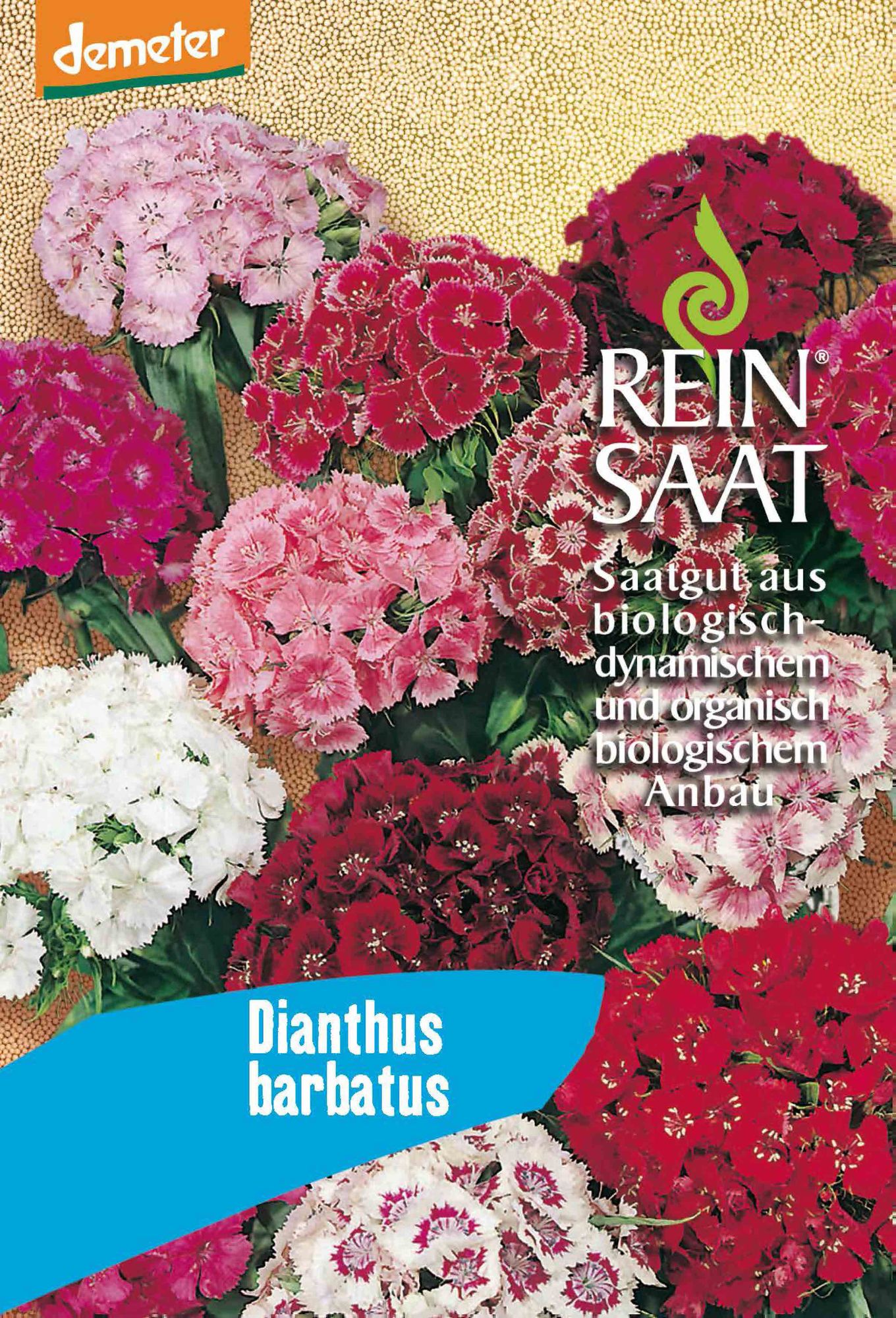  BIO Bartnelke [MHD 12/2025]