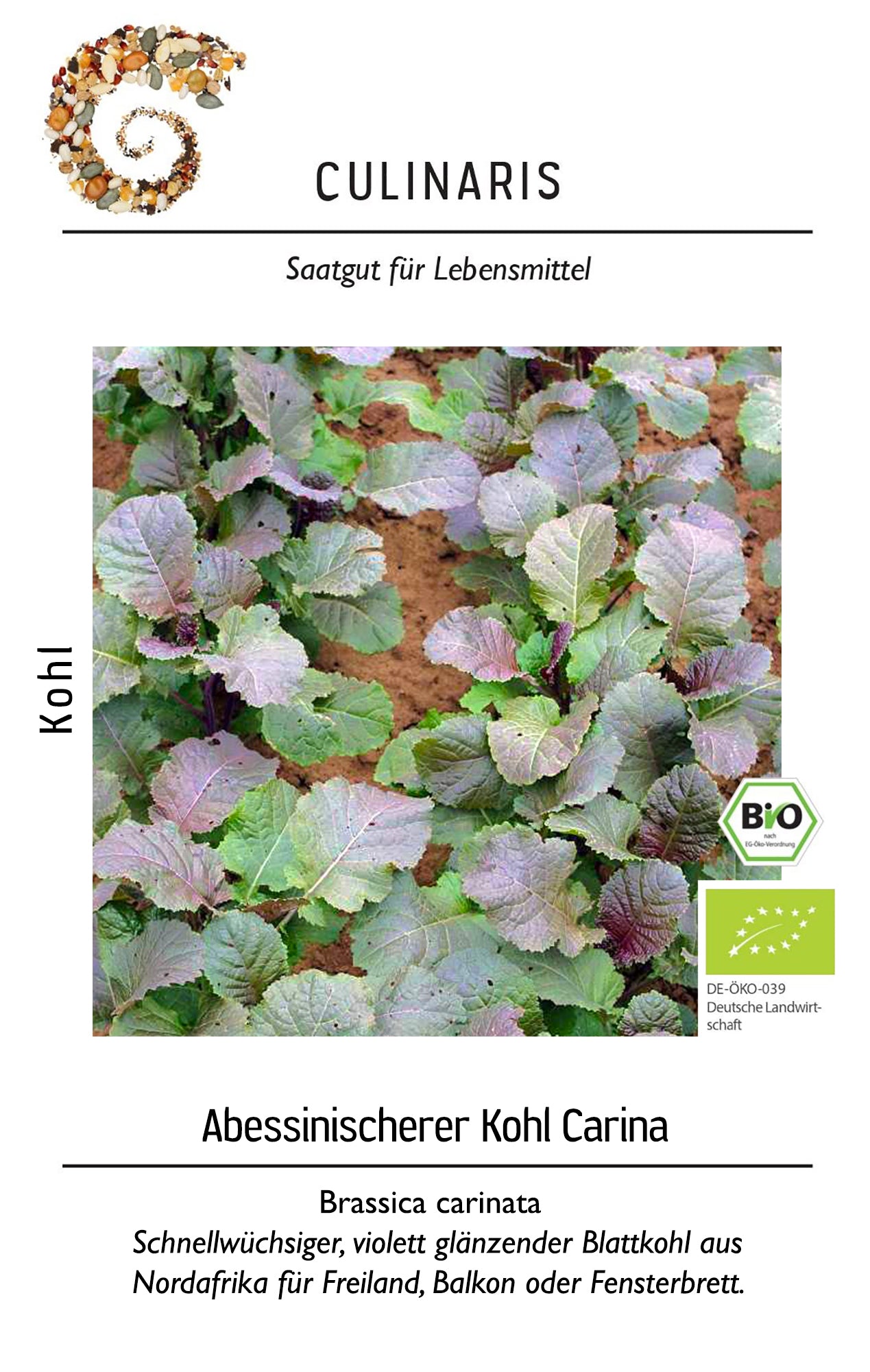  BIO Abessinischerer Kohl Carina