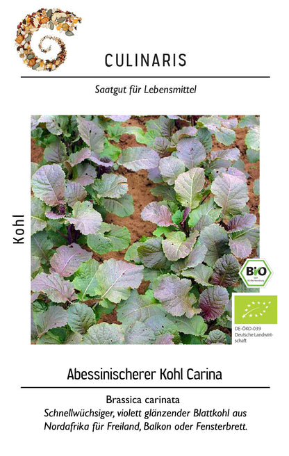  BIO Abessinischerer Kohl Carina