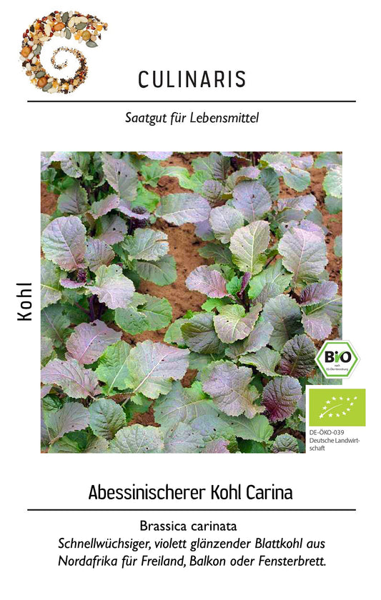  BIO Abessinischerer Kohl Carina