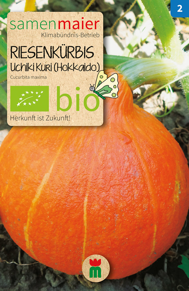  BIO Kürbis Riesen-Uchiki Kuri (Hokkaido)