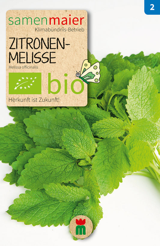 BIO Zitronenmelisse Mehrjährig