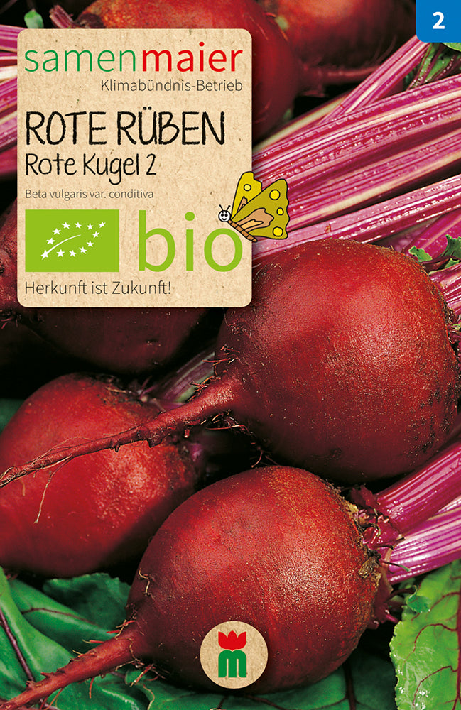  BIO Rote Rübe Rote Kugel 2