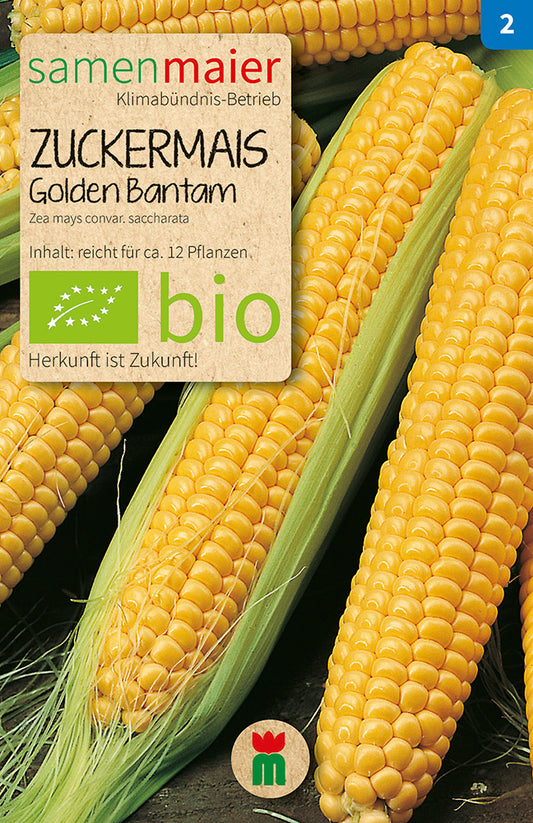  BIO Zuckermais Golden Bantam