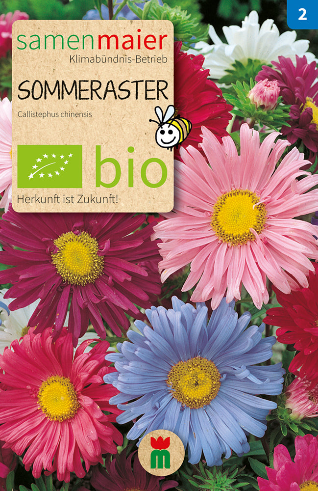  BIO Sommeraster Einfache Mischung