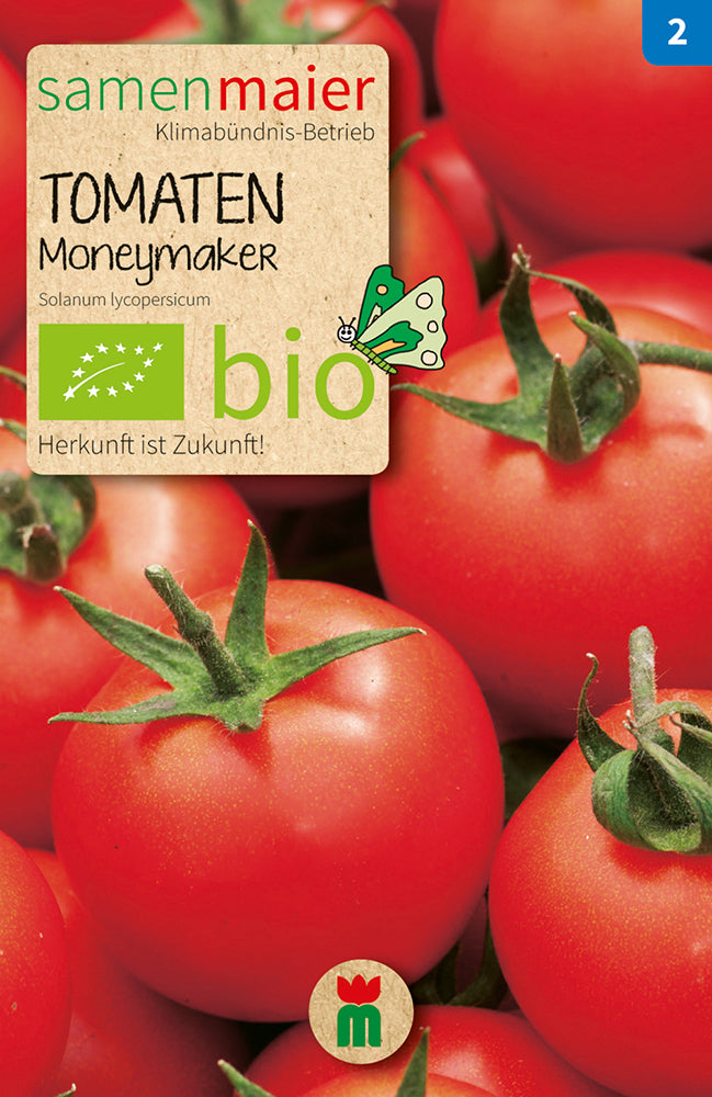  BIO Tomate Moneymaker