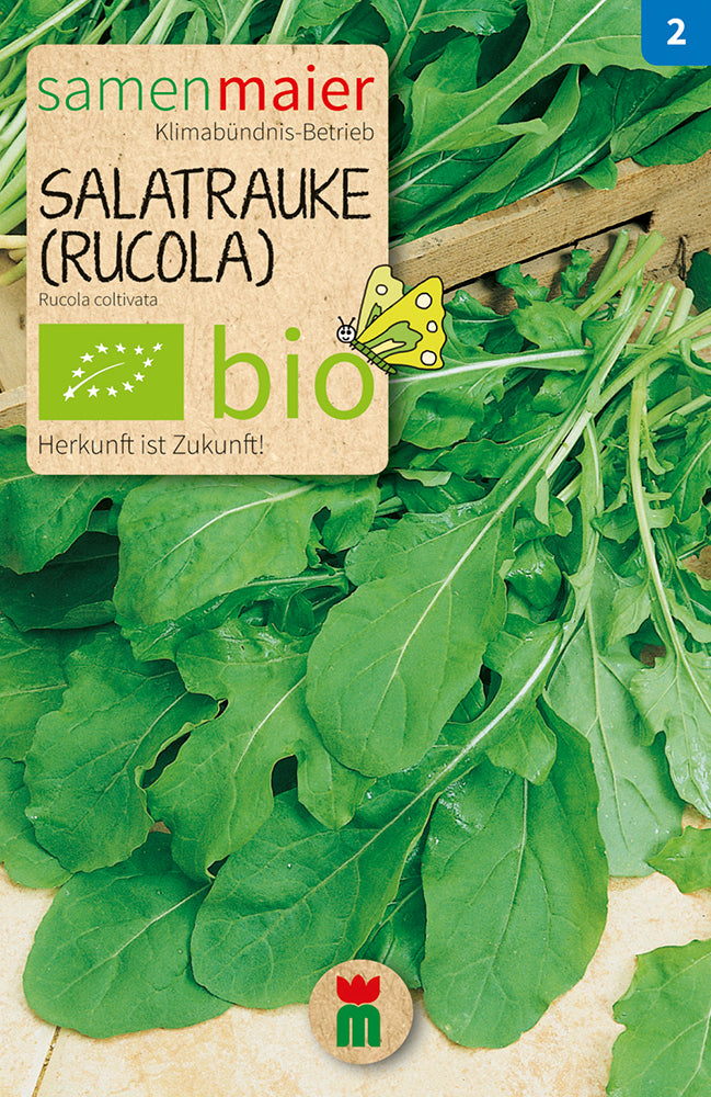  BIO Salatrauke (Rucola) Einjährig [MHD 12/2025]