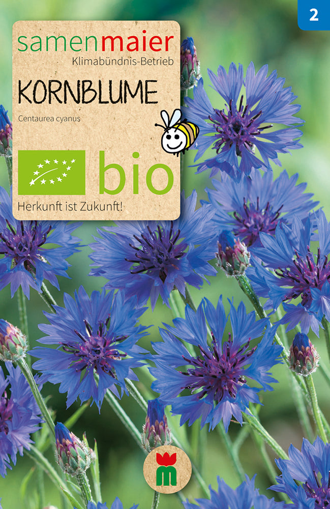  BIO Kornblume Blau