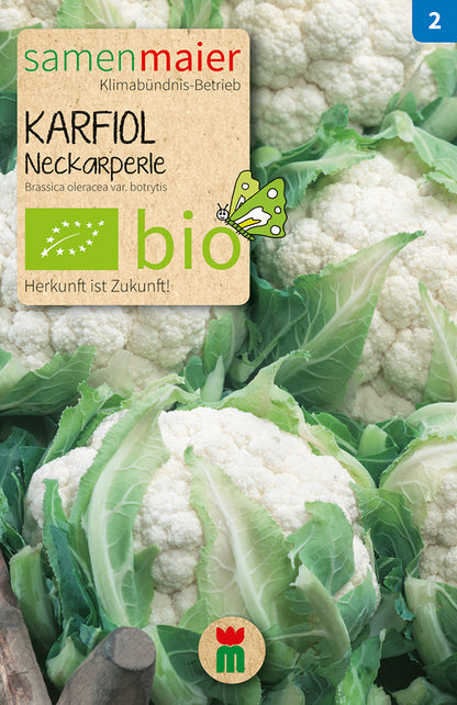  BIO Karfiol Neckarperle