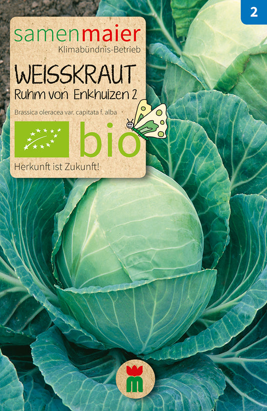  BIO Weißkraut Ruhm Von Enkhuizen 2