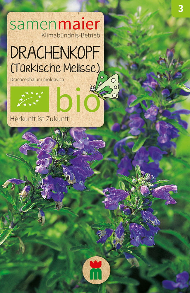  BIO Drachenkopf (türk.Melisse)