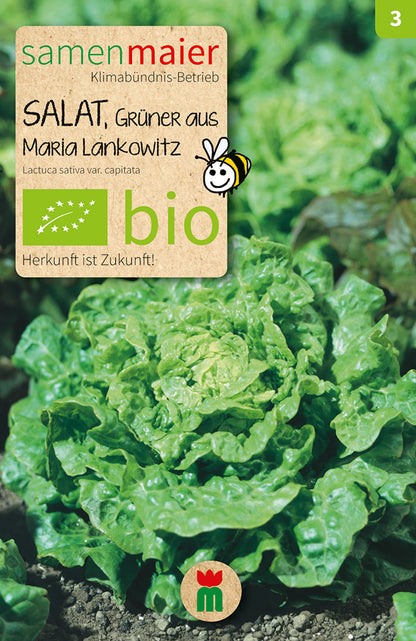  BIO Salat Grüner Aus Maria Lankowitz [MHD 12/2025]