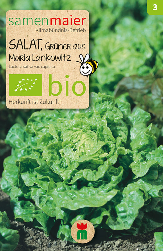  BIO Salat Grüner Aus Maria Lankowitz [MHD 12/2025]