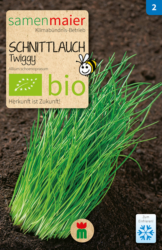  BIO Schnittlauch Twiggy Feinröhrig Mehrjährig