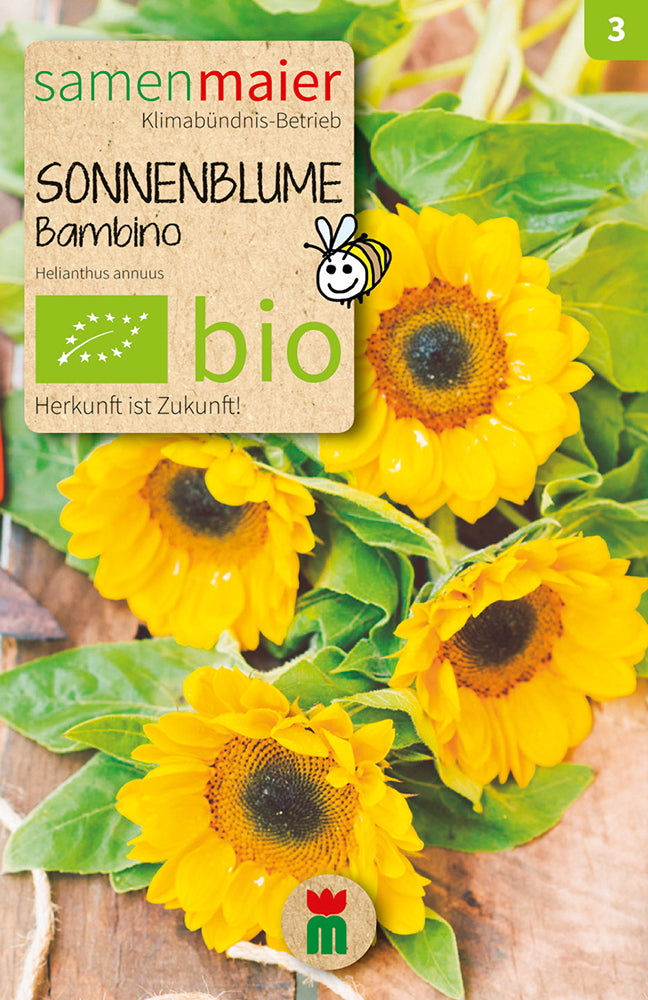  BIO Sonnenblume Bambino