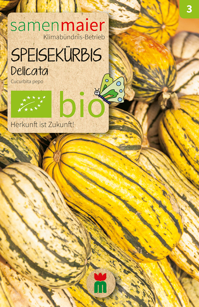  BIO Speisekürbis Delicata