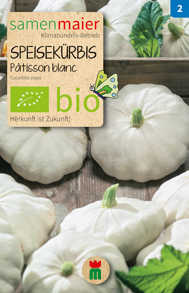  BIO Speisekürbis Patisson Blanc