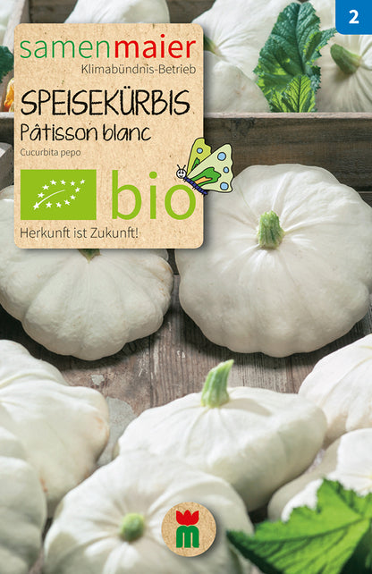  BIO Speisekürbis Patisson Blanc