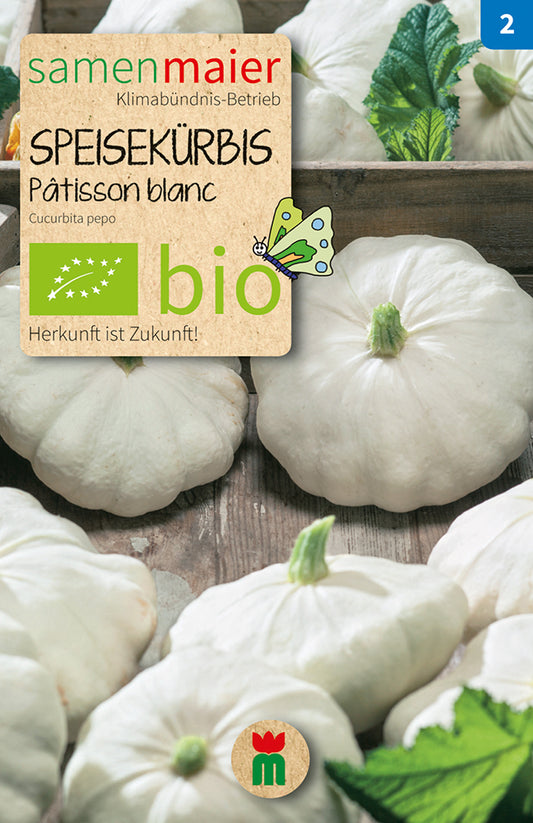  BIO Speisekürbis Patisson Blanc