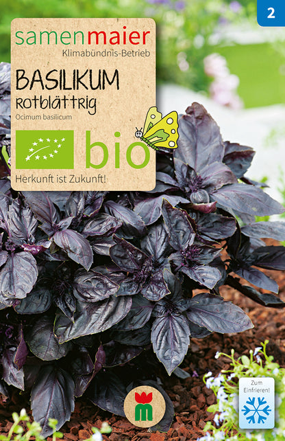  BIO Basilikum Rotblättrig Einjährig