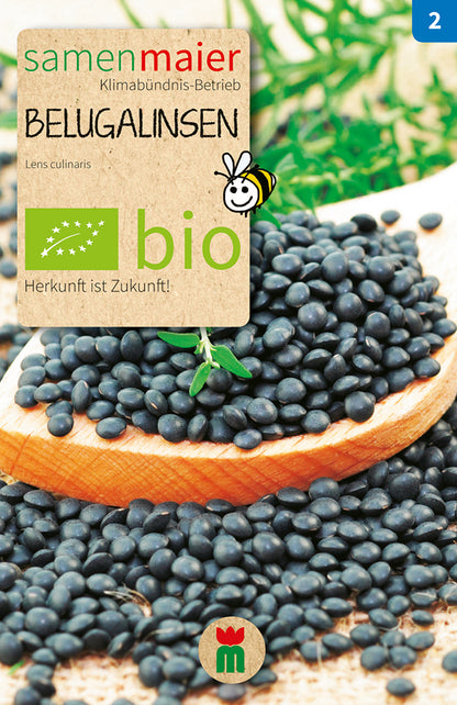  BIO Belugalinsen