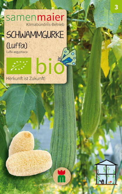  BIO Beet-Box "Raritätenbox"