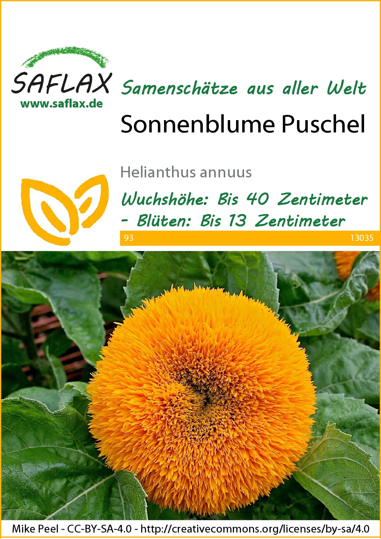  Sonnenblume Puschel