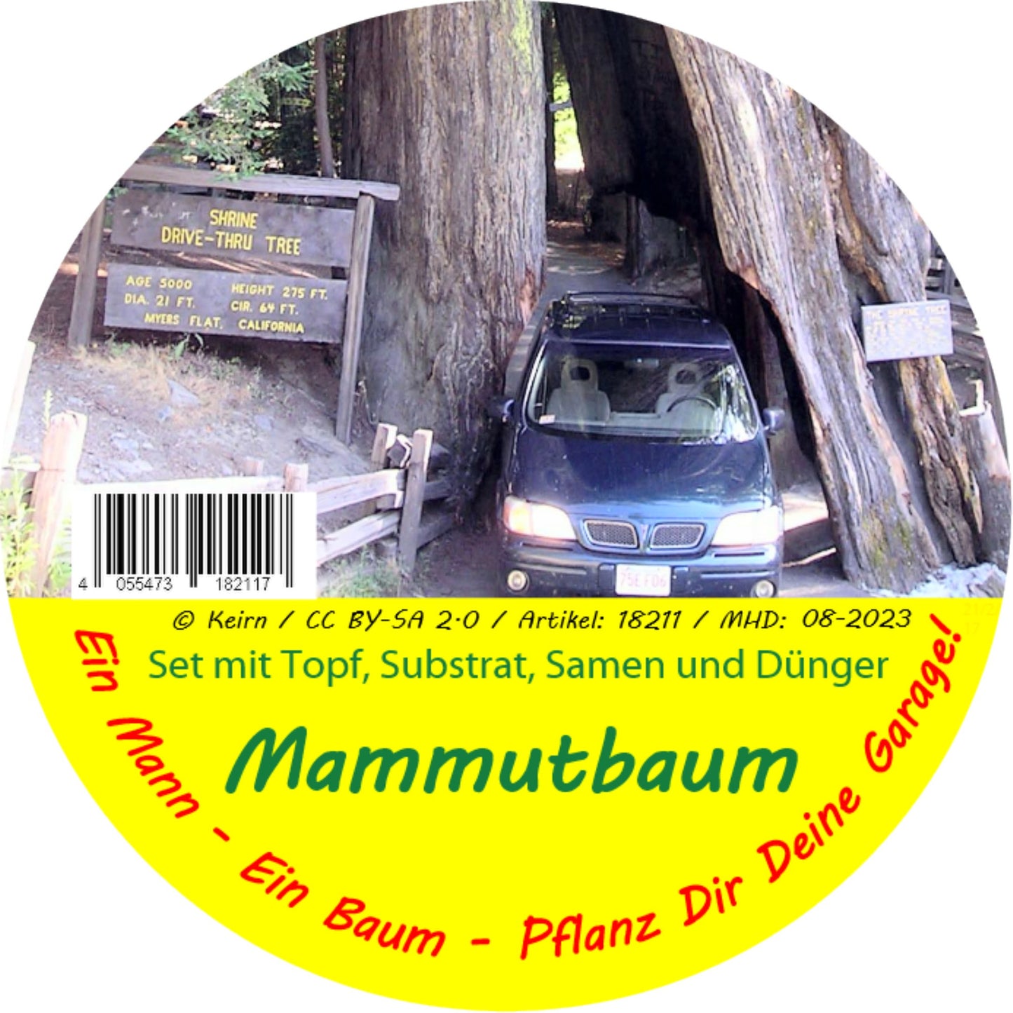  Garden To Go Mammutbaum
