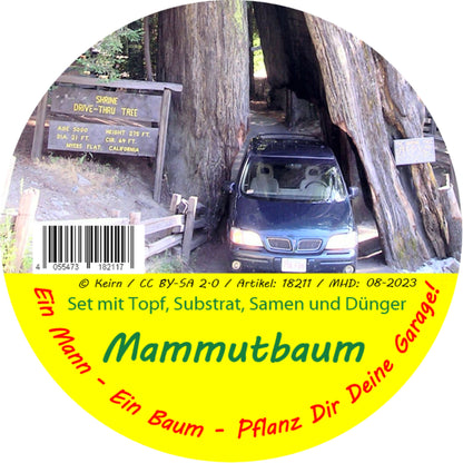  Garden To Go Mammutbaum