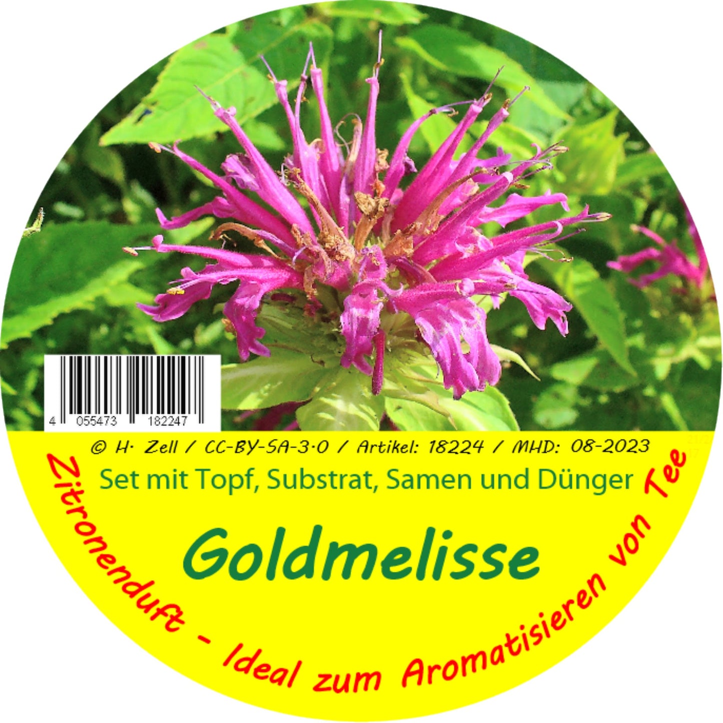  Goldmelisse