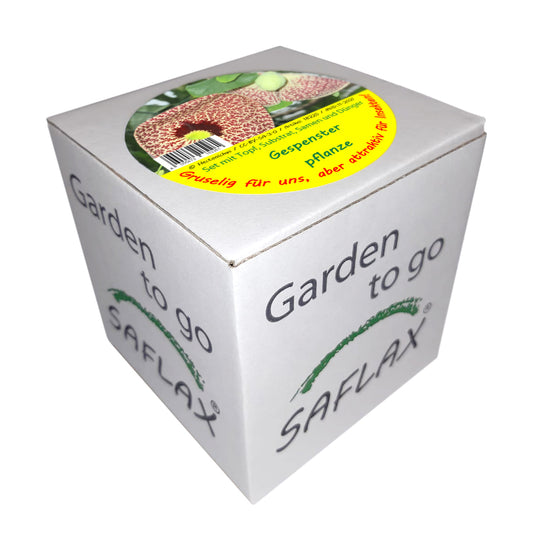 Garden To Go Gespensterpflanze