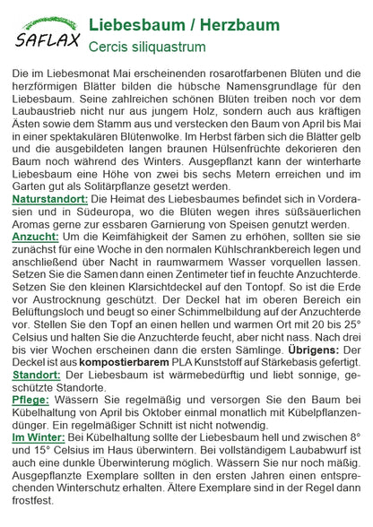  Liebesbaum