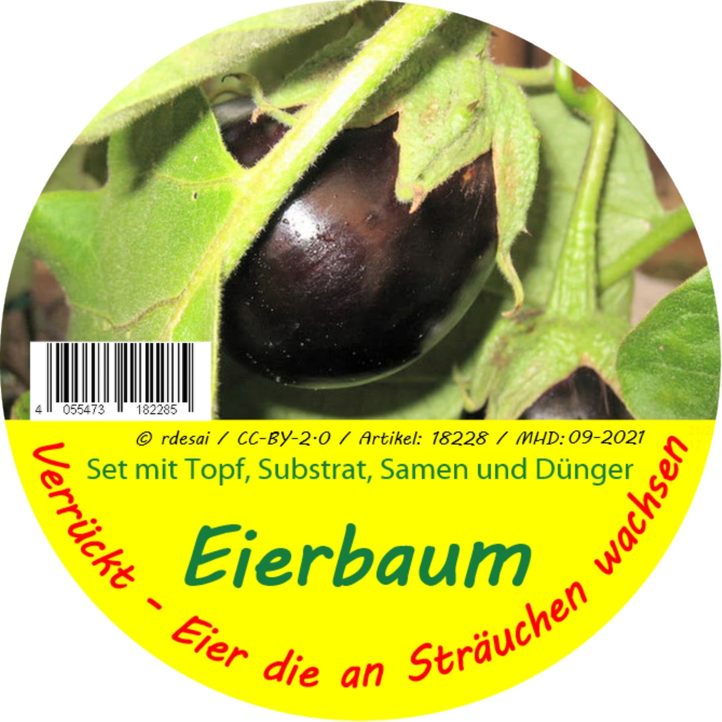  Eierbaum