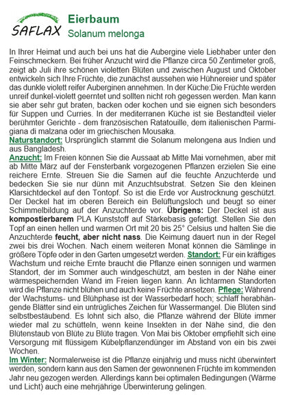  Eierbaum