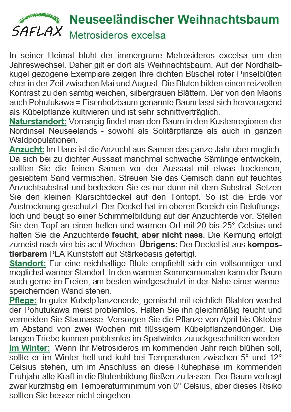  Neuseeländischer Weihnachtsbaum